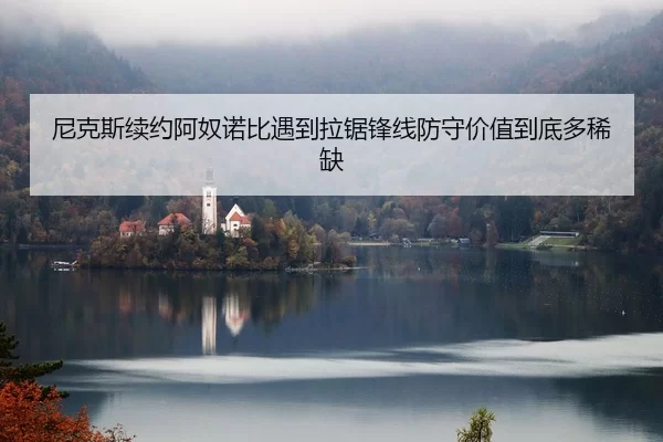 尼克斯续约阿奴诺比遇到拉锯锋线防守价值到底多稀缺