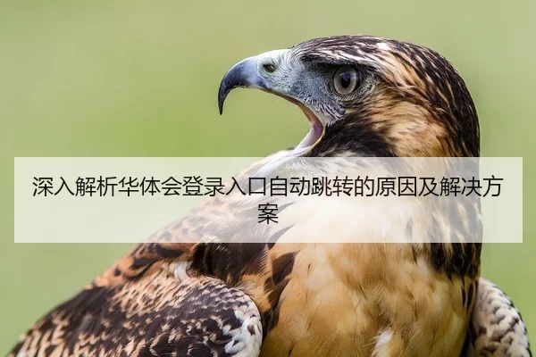 深入解析华体会登录入口自动跳转的原因及解决方案