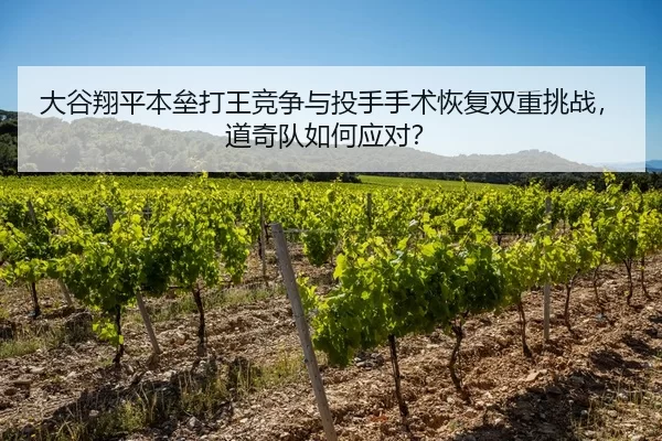 大谷翔平本垒打王竞争与投手手术恢复双重挑战，道奇队如何应对？