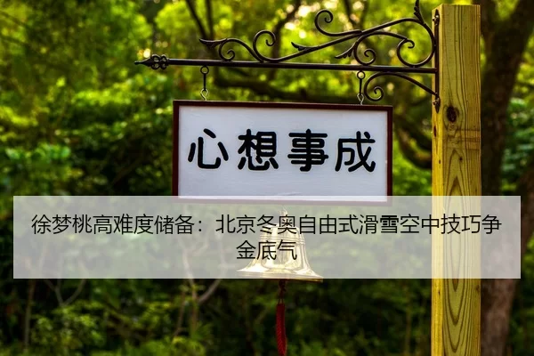 xu-meng-tao-gao-nan-du-chu-bei-bei-jing-dong-ao-zi-you-shi-hua-xue-kong-zhong-ji-qiao-zheng-jin-di-qi-2-411.jpg