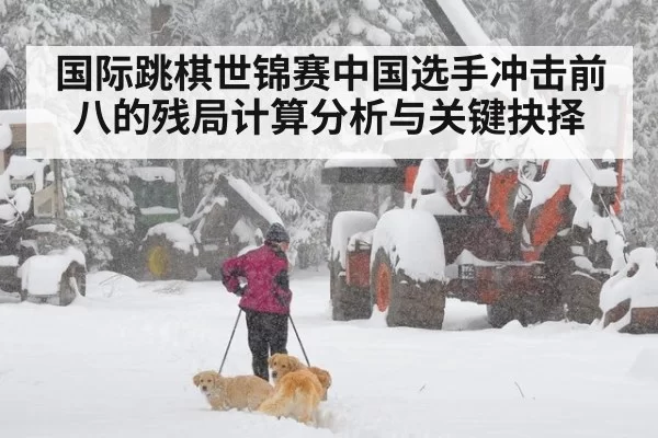 国际跳棋世锦赛中国选手冲击前八的残局计算分析与关键抉择